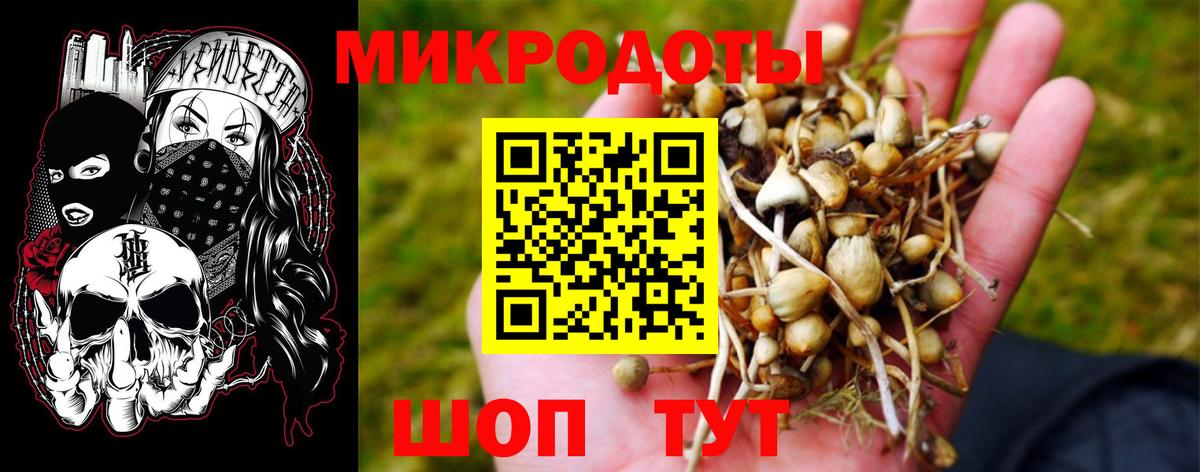 Псилоцибиновые грибы Psilocybine cubensis Луховицы